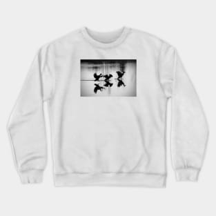 3 Ducks / Swiss Artwork Photography Crewneck Sweatshirt